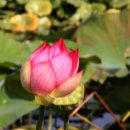 주엽공원 이미지