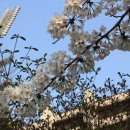 부천종합운동장 이미지