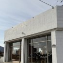 월포초등학교 | 포항/월포해수욕장 근처 감성 식물카페 식목일