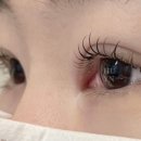 브로우 현