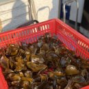 진복수산 이미지