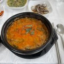 수정동농장 | 여수 1박2일 여행 코스 ( 숙소 강추 ‘느낌애견풀빌라’ )