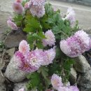 마을회관 이미지