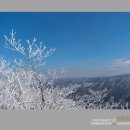 제273회 민주지산 (충북 영동) 이미지