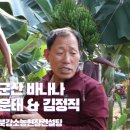 김윤태농장 이미지