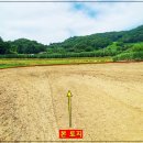 분지농장 이미지