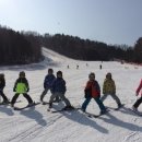 휘닉스파크 이미지