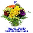 안길운