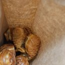 우리DC백화점 이미지