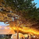 대둔산 글램핑 캠핑장 이미지