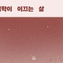 뿌리 철학A 이미지