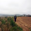 서당리 경로당 티스토리