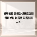 블루핸즈 롯데칠성음료신협양평분점 영등포 자동차검사소
