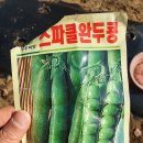 해동농약사