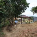 낭만술꾼 이미지