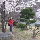 노블라인 이미지