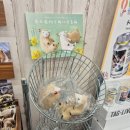 한두목장 이미지