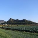 인성리방사탑 2호 | 옛 대정고을 남쪽에 있는 인성리 방사탑과 세미물, 단산(바굼지오름)