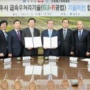 푸른S&C