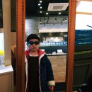 렌즈미&에비뉴 안경 이미지