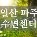 한사랑이비인후과파주 네이버블로그