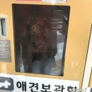 서울애견마트 이미지