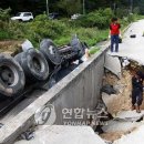 연화축산 이미지