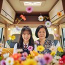 지존과학학원 | 세종 영어학원 문의, 국제고 외고 준비 어떻게?