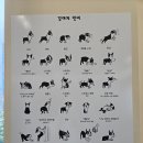 도그코 | 경기도 광주 애견카페 도그코 경안동 애견카페 내돈내산 후기