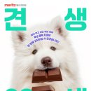 견생공감 이미지