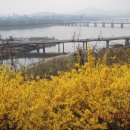 개나리공원3 이미지