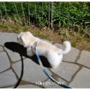 (주)천둥소리 이미지