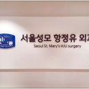 서울성모항정유외과의원 이미지
