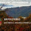 봉화약초민박 이미지
