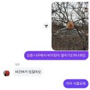 러브 레플리카 | 앉으라고, 사랑하러 왔잖아!