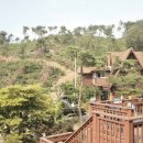 로글리대천통나무펜션리조트 이미지