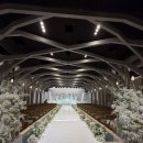 공유숲 | [27년 빠른 견적 공유] 서울 어두운 예식장 ‘서울숲 보테가마지오’ 상담 후기｜어두운웨딩·주차...