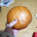 빵장수 단팥빵(정관점) 티스토리