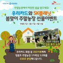 다모아농장 이미지