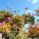 부곡원조 메기탕 이미지