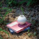 끝난줄 알았는데 끝나지 않은 국립박물관 뮤지엄샵의 공모전 신상품 업뎃 이미지