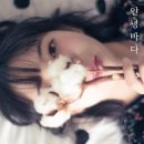 안녕바다 이미지
