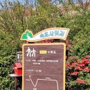 속초사잇길 제3길 이미지