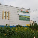 애자농장 이미지