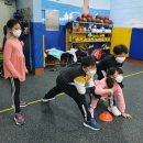 아이스포렉스 이미지