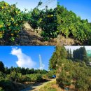 소정농장 이미지