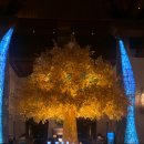 탁구-E | [중국] 칭다오 힐튼 호텔 추천 "골든비치 호텔" (오션뷰, 솔직후기)