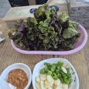 영천역사박물관 | 영천 한식 맛집 &#39;천문대로맛집&#39; 제육볶음 내돈내산 후기