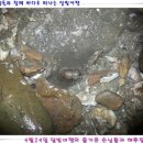 갯벌이야기 이미지