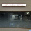 뉴에스동물병원 이미지